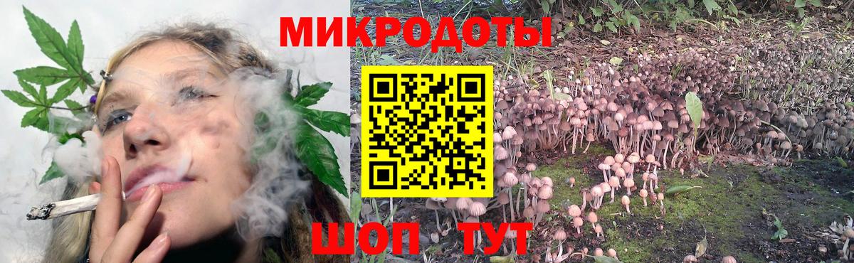 Галлюциногенные грибы мицелий Альметьевск